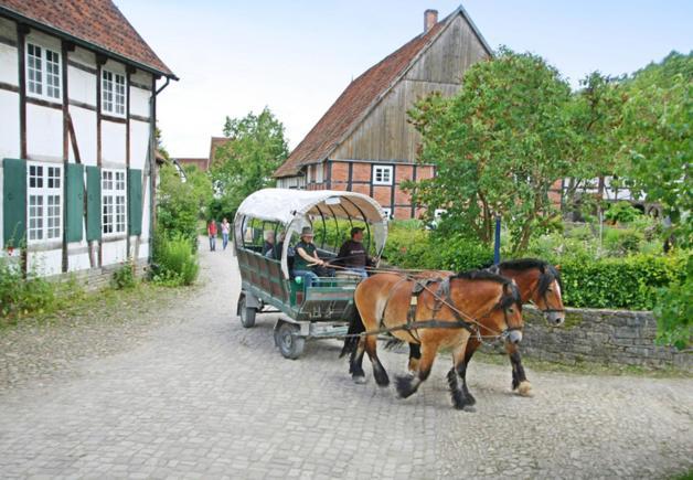 Fewo Charlotte Horn-Bad Meinberg Bagian luar foto