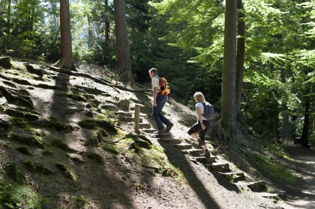 Fewo Charlotte Horn-Bad Meinberg Bagian luar foto